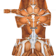 Illustration for article titled Spandex? Ewww. Anatomical Muscle Suit? Hot.